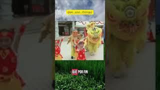 Historia del arroz en Panamá