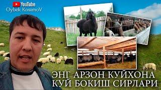 ЭНГ АРЗОН КУЙХОНА КУЙ БОКИШ СИРЛАРИ