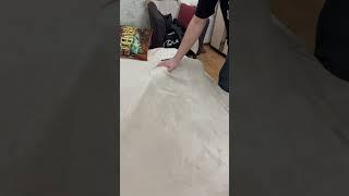 Чужой, а нет Такса!  Такса Ева-Королева. Такса лучшая собака