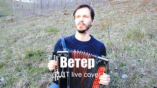 Ветер (live cover ДДТ под гармонь)