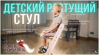 Растущий регулируемый детский стул Конек Горбунек