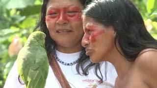 The Waorani Women of the Amazon, Ecuador