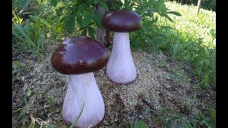 Cement mushrooms / concrete figurine/ garden crafts/ how to make a figure of cement