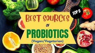 Best Vegan Probiotics to Improve Your Gut Health