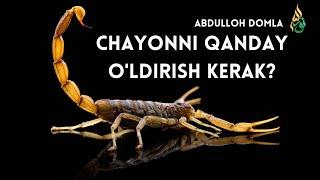 CHAYONNI (GAZANDALARNI) QANDAY O'LDIRISH KERAK? / ABDULLOH DOMLA / AL-MUHSIN (Animatsiya)