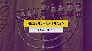 Недельная глава "Шлах - Леха"