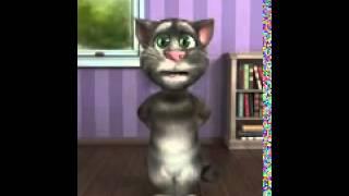 Кот на кумыкском
