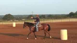 Joy Wargo – Horse Body Position