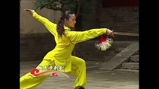 Jianshu 1 duan wei Chinese Wushu Duanwei System jian shu 剑 straight sword