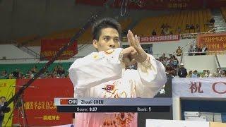 1st Taolu World Cup - Zhouli Chen (CHN) - Men's Taijiquan - 1st Place