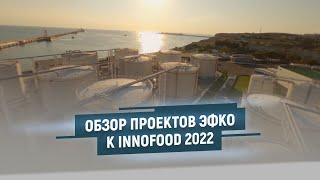 Обзор проектов ЭФКО. К INNOFOOD 2022