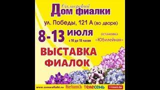 ВЫСТАВКА ФИАЛОК 8-13 июля,Самарский Дом фиалки.