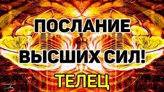 ТЕЛЕЦ. ПОСЛАНИЕ ВЫСШИХ СИЛ! ЯНВАРЬ 2020. ПРЕДСКАЗАНИЕ ТАРО. Гадание оналйн на картах таро.