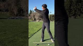 Shoulder Blade Backswing  #golf #golfcoach #backswing