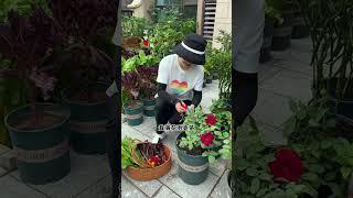 kavya-food#garden#kitchen#farmer#fine#work#mahi#