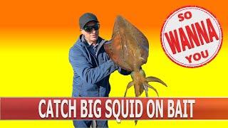 How to catch big squid on a handline using bait