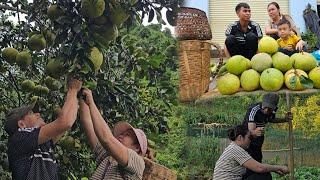 Daily life: We go harvesting and shopping together, gardening together