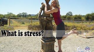 What is stress? What can you do about it?