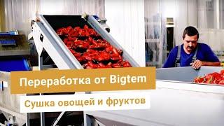 Линия переработки овощей от Bigtem. Мойка, чистка, нарезка, сушка, упаковка перца, лука, моркови.