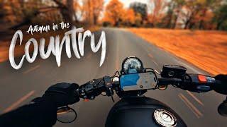 Rainy Autumn Backroads I Pure Engine Sounds I Triumph Bobber I 4K POV