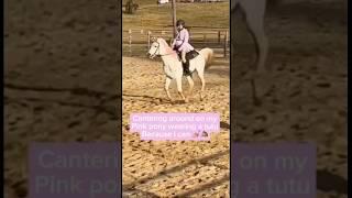 I put chalk in his mane ahah ️🩷 #horsecare #equestrian #pony #horsegirls #horseriding