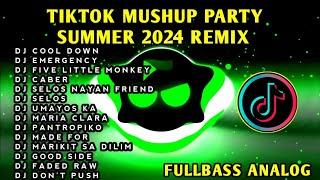 TIKTOK MUSHUP PARTY SUMMER 2024 REMIX 