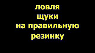 ЛОВЛЯ ЩУКИ НА ЖИВЦА