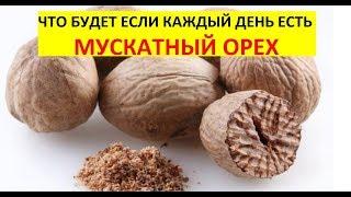 МУСКАТНЫЙ ОРЕХ - ЗДОРОВОЕ ПИТАНИЕ / BITTLE WALNUT - HEALTHY FOOD