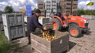 Apfelernte Altes Land Obstanbaubetrieb Bio Obsthof Münch biologische Landwirtschaft - Traktor Kubota