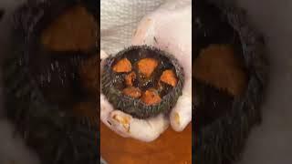 ‼️️️yes chefs and foodies, the best wat to open sea urchins ️‼️#librarykitchenandbar #chef #food