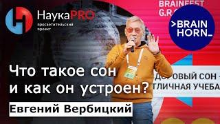 Как устроен сон? | Сомнология и медицина сна – сомнолог Евгений Вербицкий | Научпоп