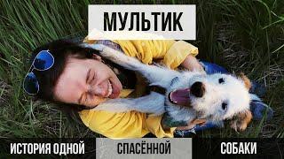 ИСТОРИЯ ОДНОЙ СПАСЕННОЙ С УЛИЦЫ СОБАКИ. ДО СЛЁЗ || VeganFamily || Помощь бездомным животным. Приют