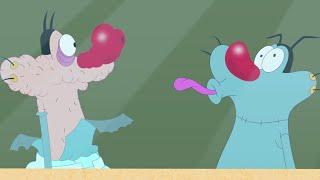 OGGY VS OGGY  Oggy and the Cockroaches  - Full Episodes HD