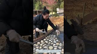 Crafting a Garden Oasis: Laying Cobblestones by Hand