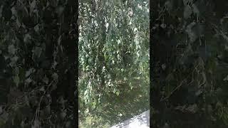 Лазурный берег. Видео обзор.