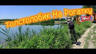 Трофейный Улов На Рогатку: Огромный Толстолобик! #ТрофейныйУлов#РыбалкаНаРогатку#Толстолобик#2024#1m