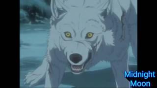 Wolf's Rain~Because Of You