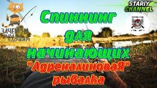 СПИННИНГ ДЛЯ НАЧИНАЮЩИХ ⏪ АДРЕНАЛИНОВАЯ РЫБАЛКА ⏩  Russian Fishing 4 (РР4,RF4)