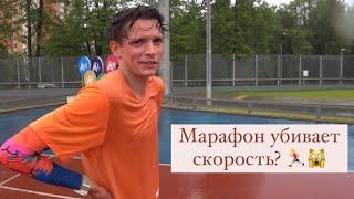 Дмитрий Неделин о марафоне Белые ночи, беговых объёмах и ближайших стартах - интервью / Иван Докукин