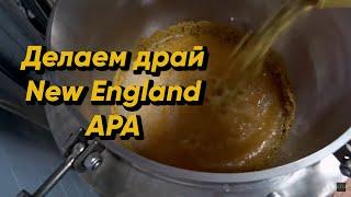 Сухое охмеление New England APA | Делаем драй Нью Ингланд APA | Стратегия 21