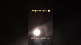 Осетровая Луна 5:00 утра 19-20 августа 2024 года 🟡 #луна #осетроваялуна #сегодня #германия