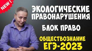 ЭКОЛОГИЧЕСКИЕ ПРАВОНАРУШЕНИЯ | ЕГЭ ОБЩЕСТВОЗНАНИЕ | БЛОК ПРАВО