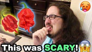 THEY ATE THE WORLD'S HOTTEST PEPPER!! (TWICE)