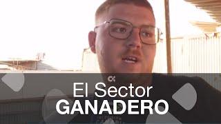 La complicada situación del sector ganadero