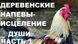 ПЕНИЕ ПЕТУХОВ И ДУШЕВНАЯ АТМОСФЕРА ДЕРЕВНИ ИСЦЕЛИТ ТЕЛО И  ДУШУ , И ВЕРНЁТ РАДОСТЬ БЫТИЯ.ЧАСТЬ № 1