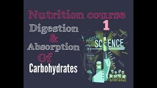 Biochemistry Nutrition course lecture ( 1 ) - carbohydrates digestion , absorption