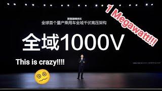 1 megawatt, this is crazy!!! BYD is destroying electromobility.