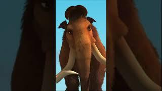 Мэнни сражается с двумя носорогами #shortvideo #shorts #video #iceage