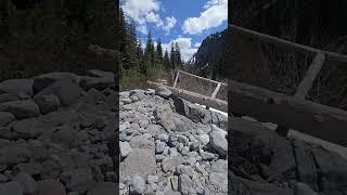 Sunrise Trail - Mount Rainier, WA. Snow is still abundant. #mountrainier #hiking #wastate