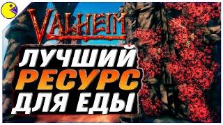 Valheim Пепельные Земли | Топ Виноград и Новая Еда | Valheim Гайд